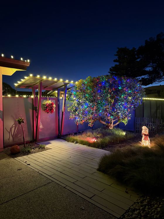 A courtyard entry at night with warm-white lights on the roof and pergola and a tree wrapped in multicolor lights