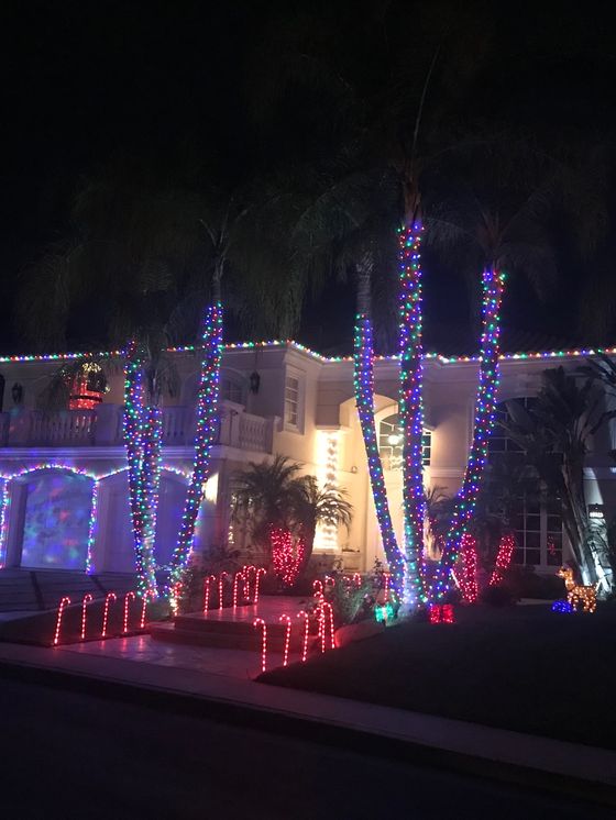 Palm trees wrapped in multicolor lights in front of a lit home