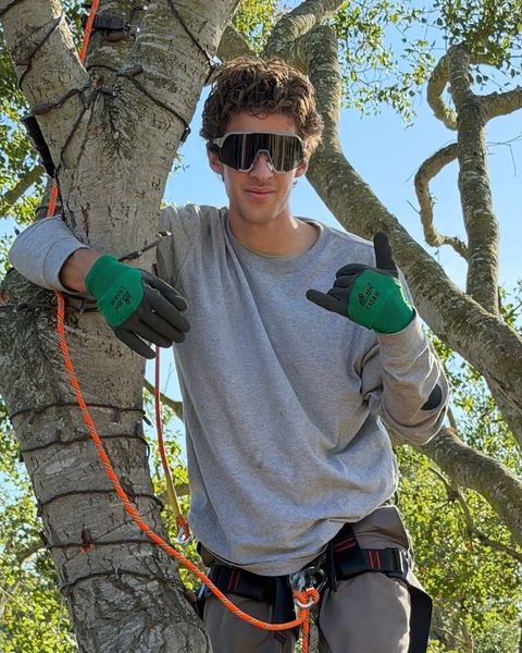Thomas G in a climbing harness up in a tree during an installation